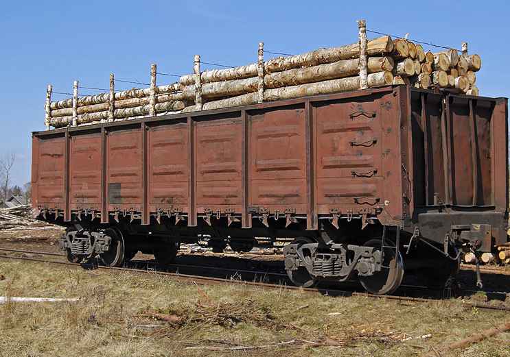 Перевозка ЛЕСА вагонами из Санкт-Петербурга в Голицыно