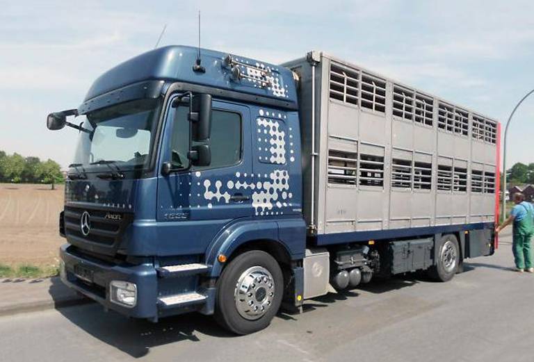 Отвезти свиней автотранспортом из Краснодар в Москва